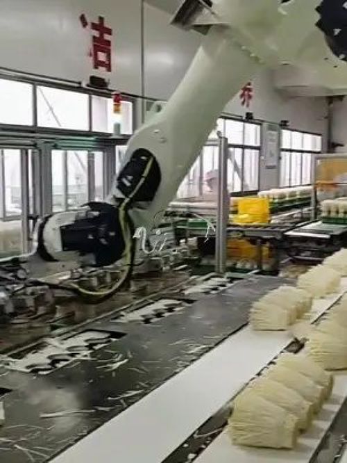金针菇摆放机器人 华象工业 工厂实拍视频 自动化生产线 工业机器人 智能制造 自动化设计 科技改变生活